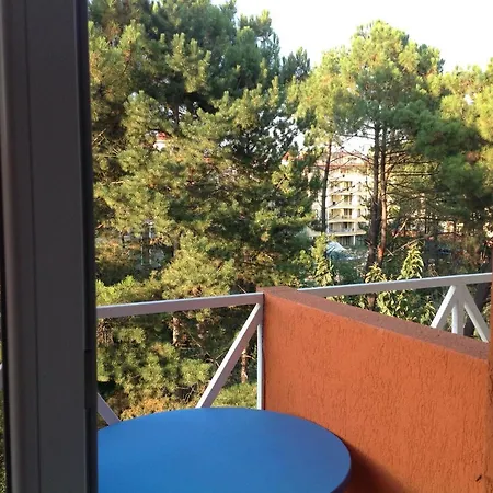 Апартаменты На Солнечном Берегу В Болгарии Apartment Sunny Beach