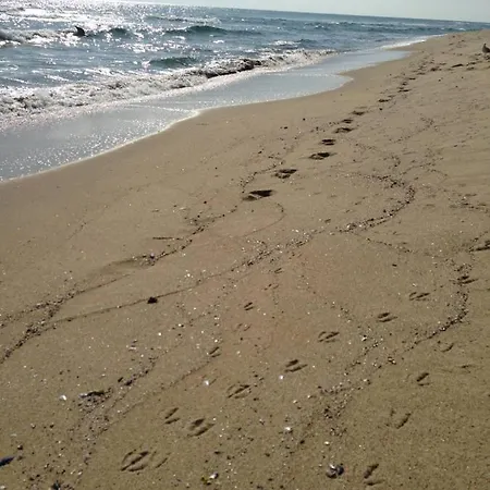 Apartment Апартаменты На Солнечном Берегу В Болгарии Sunny Beach